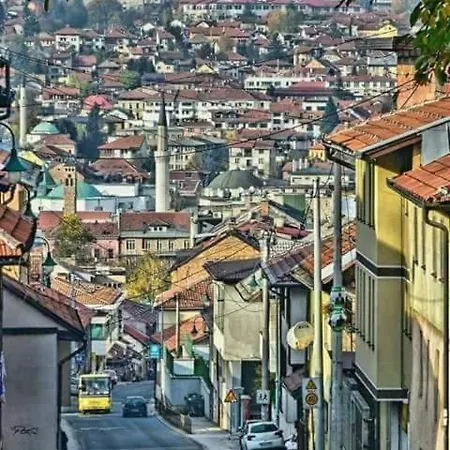 Terza *